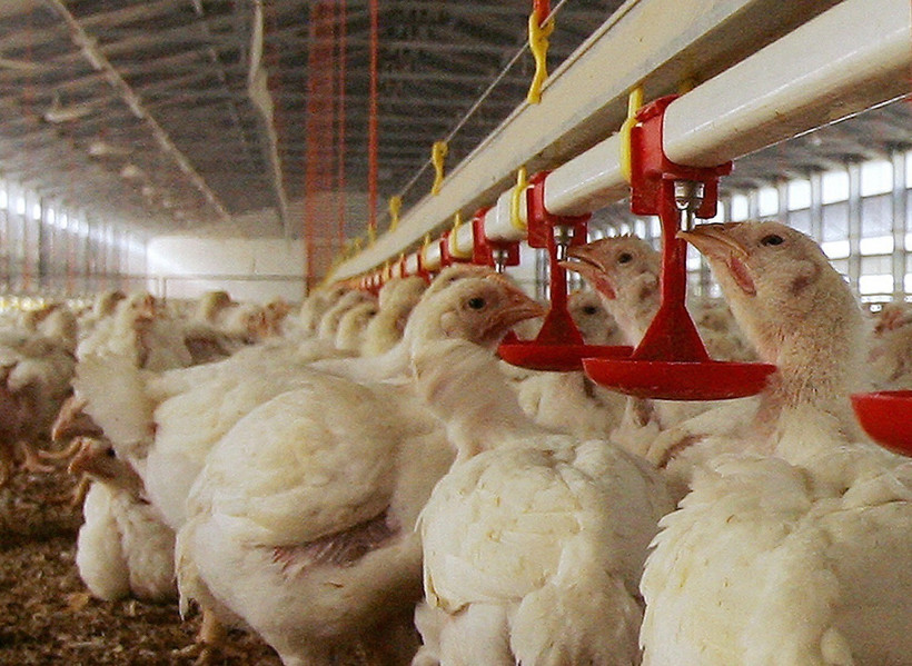 Ảnh minh họa. (Nguồn: AFP/TTXVN)