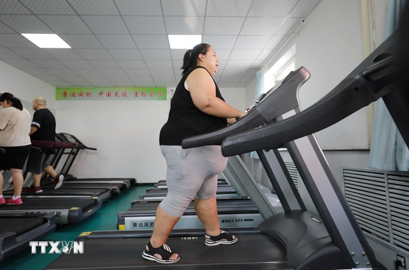 Ảnh minh họa. (Nguồn: AFP/TTXVN)