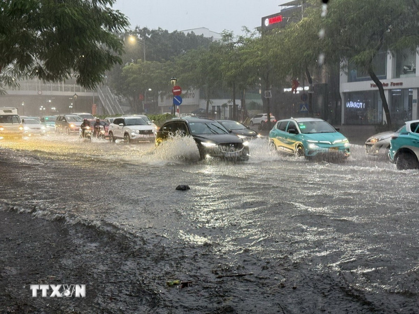 (Ảnh minh họa: An Đăng/TTXVN)