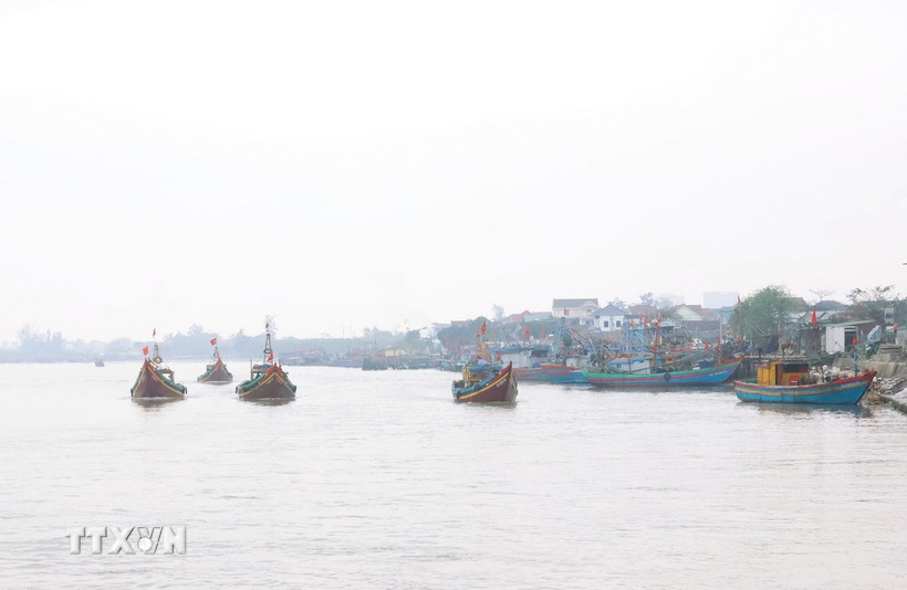 (Ảnh minh họa: Xuân Tiến/TTXVN)