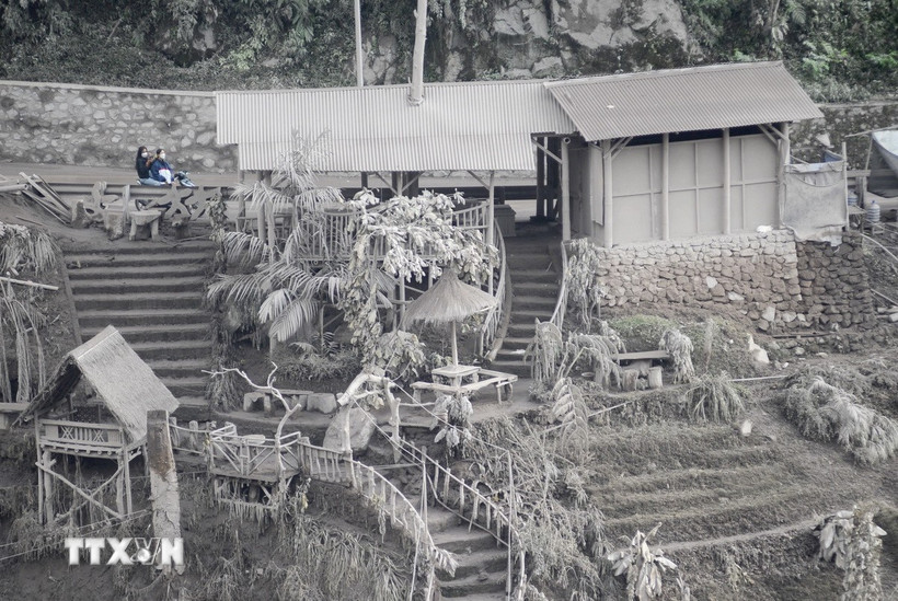 Tro bụi núi lửa Semeru bao phủ tại làng Sumberwuluh ở Lumajang, Đông Java, Indonesia. (Nguồn: THX/TTXVN)