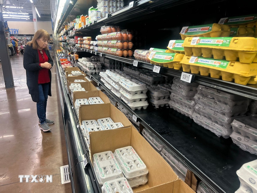 Trứng được bày bán tại siêu thị ở El Monte, Los Angeles, California, Mỹ. (Nguồn: THX/TTXVN)