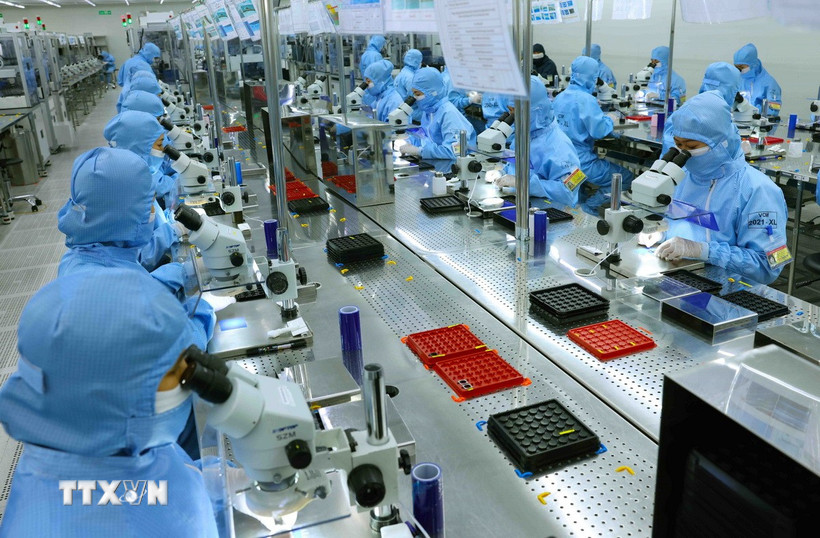 Dây chuyền sản xuất modul camera và linh kiện điện tử xuất khẩu tại nhà máy của Công ty Trách nhiệm hữu hạn MCNEX VINA, 100% vốn đầu tư của Hàn Quốc, trong Khu công nghiệp Phúc Sơn, tỉnh Ninh Bình. (Ảnh: Vũ Sinh/TTXVN)