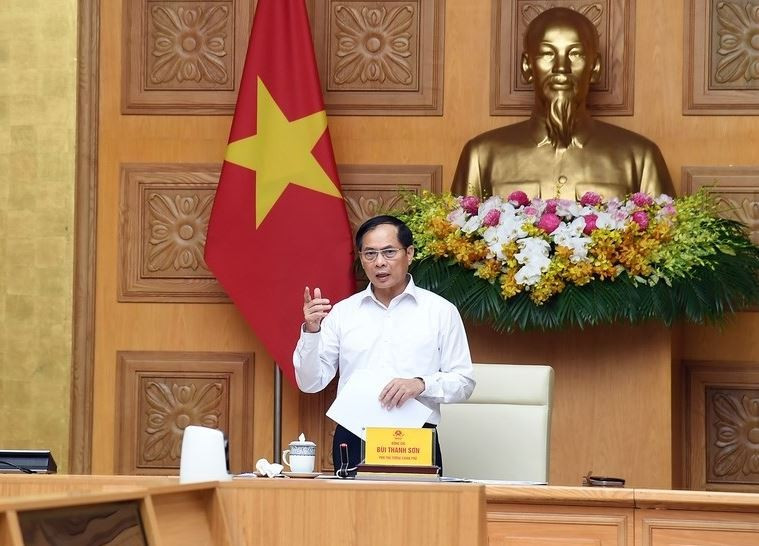 Phó Thủ tướng Bùi Thanh Sơn. (Nguồn: VGP)