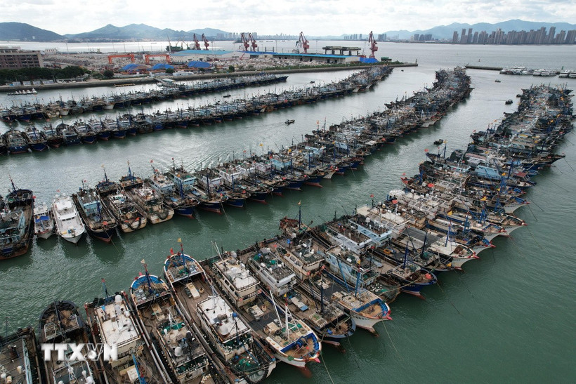 Các tàu đánh cá neo đậu về cảng tránh bão ở Trung Quốc ngày 22/9. (Nguồn: THX/TTXVN)