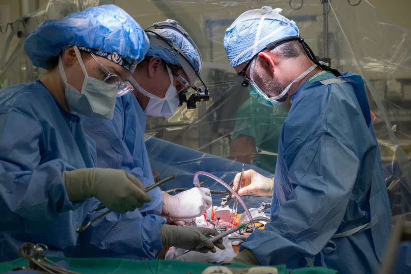 Ảnh minh họa. (Nguồn: Northwestern Medicine)