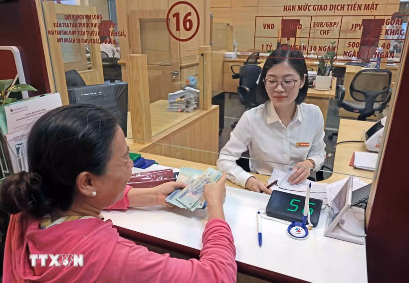 Khách hàng giao dịch tại Hội sở Agribank, Láng Hạ, Hà Nội. (Ảnh: TTXVN phát)