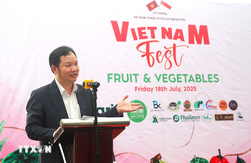 Ông Cao Xuân Thắng, Tham tán thương mại, Trưởng Cơ quan Thương vụ tại Singapore. (Ảnh: Tất Đạt/TTXVN)