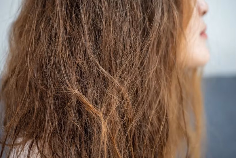 Các tác động hóa học như tẩy tóc, duỗi, uốn, nhuộm nhiều lần, cùng với tạo kiểu bằng nhiệt, tia UV hoặc ô nhiễm môi trường có thể làm hỏng lớp biểu bì tóc - lớp bảo vệ bên ngoài - và làm tăng độ xốp của thân tóc. (Nguồn: Getty Images)
