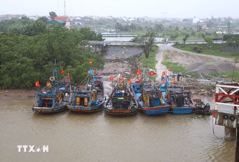 (Ảnh minh họa: Xuân Tiến/TTXVN)