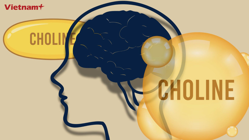 Choline nằm trong nhóm những dưỡng chất quan trọng mà có thể bạn chưa từng nghe đến. (Nguồn: Vietnam+)