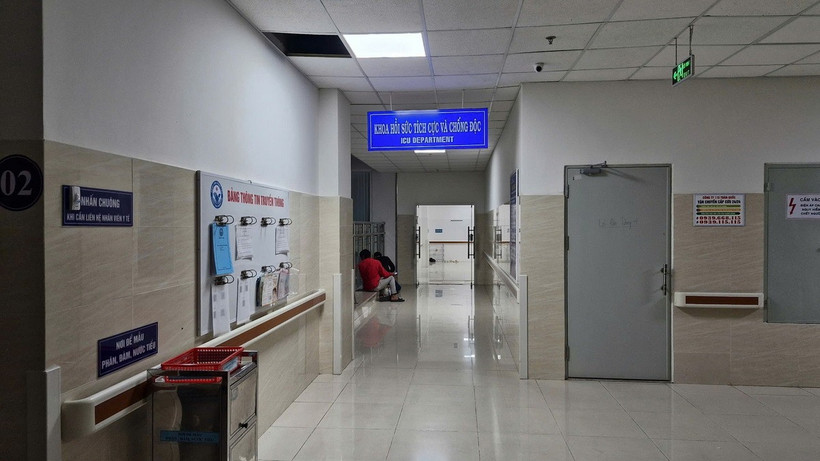 (Ảnh minh họa: Huỳnh Sơn/TTXVN)