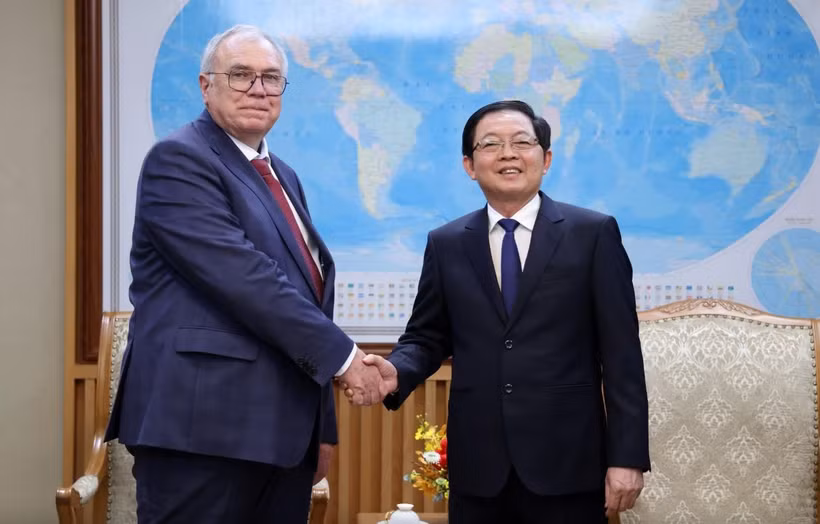 Phó Thủ tướng Hồ Quốc Dũng tiếp Phó Tổng Giám đốc Cơ quan Năng lượng nguyên tử Quốc tế (IAEA) Mikhail Chudakov. (Nguồn: Báo Chính phủ)