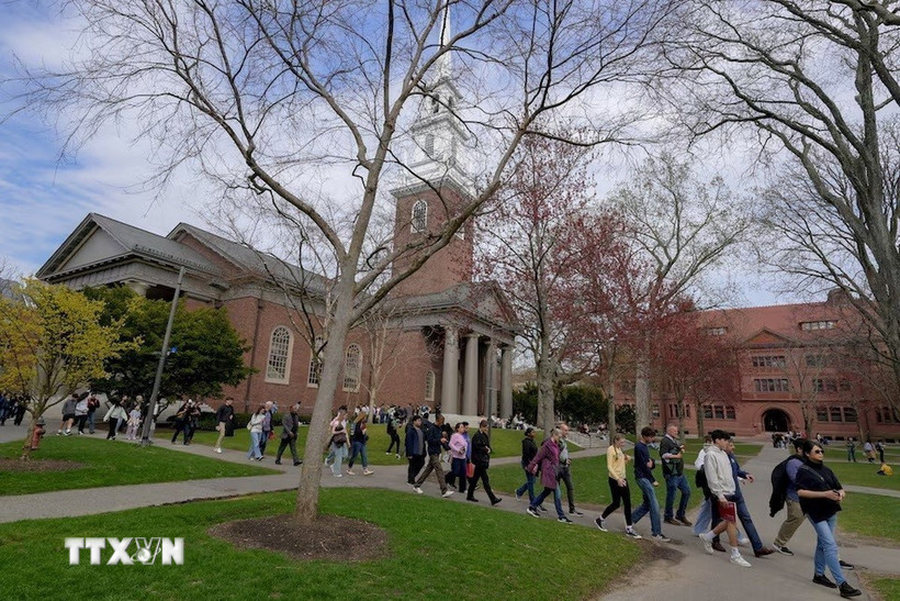Sinh viên tại Đại học Harvard ở Cambridge, bang Massachusetts, Mỹ. (Ảnh: Reuters/TTXVN)