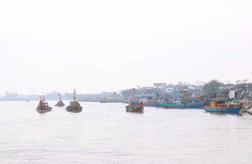 (Ảnh minh họa: Xuân Tiến/TTXVN)