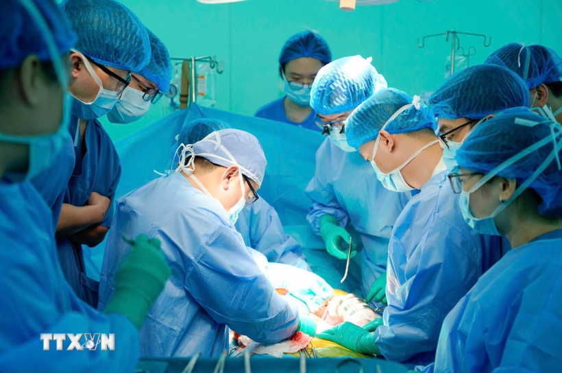 Các bác sỹ thực hiện ghép gan cho người bệnh. (Nguồn: TTXVN phát)