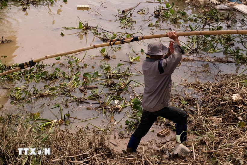 Người dân thôn Tân Lập, xã Ka Đô, Lâm Đồng dọn dẹp vườn rau để tranh thủ thời gian khôi phục sản xuất. (Ảnh: Nguyễn Dũng/TTXVN)