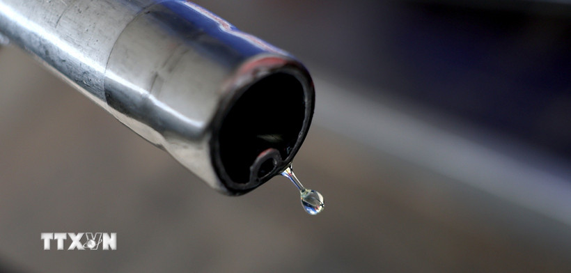 Ảnh minh họa. (Nguồn: THX/TTXVN)