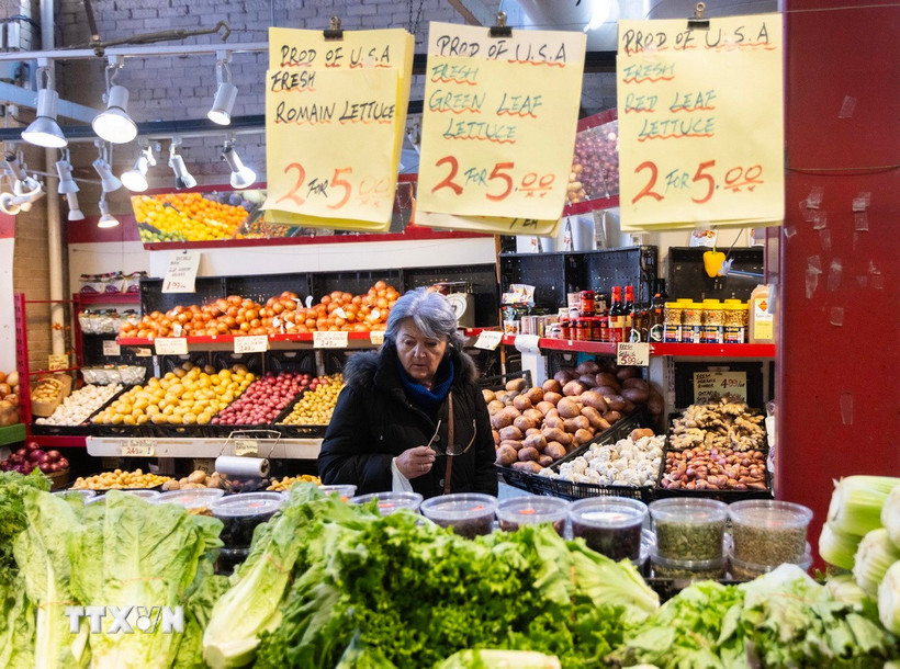 Người dân mua sắm tại siêu thị ở Toronto, Canada. (Nguồn: THX/TTXVN)