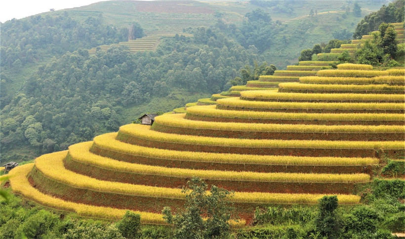 Sự độc đáo của từng thửa ruộng chính là điều hấp dẫn với du khách đến Mù Cang Chải.. (Ảnh: Tuấn Anh/TTXVN)
