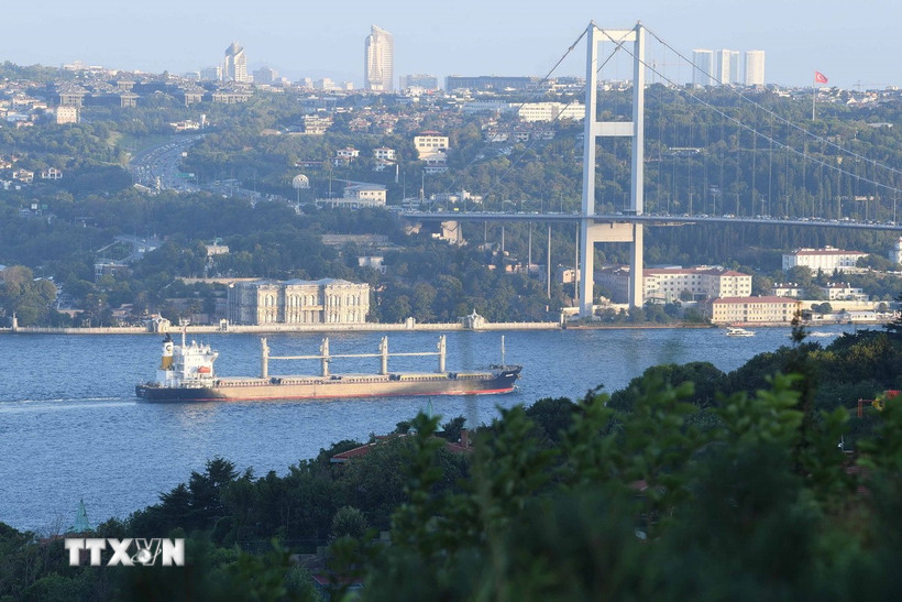 Tàu di chuyển qua Eo biển Bosphorus ở Istanbul, Thổ Nhĩ Kỳ. (Nguồn: THX/TTXVN)
