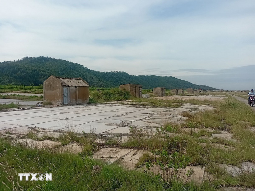 Diêm dân bỏ nghề, những đồng muối ở xã Hoa Lộc, Thanh Hóa bị bỏ hoang. (Ảnh: Nguyễn Nam/TTXVN)