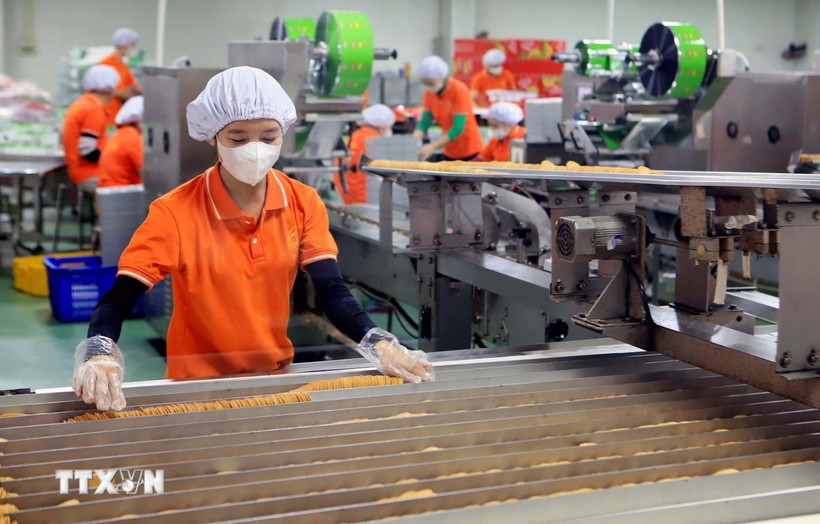 Kinh tế tư nhân được đặt nhiều kỳ vọng bứt phá và phát triển, đưa kinh tế đất nước vững mạnh bước vào kỷ nguyên mới. (Ảnh: Thế Duyệt/TTXVN)