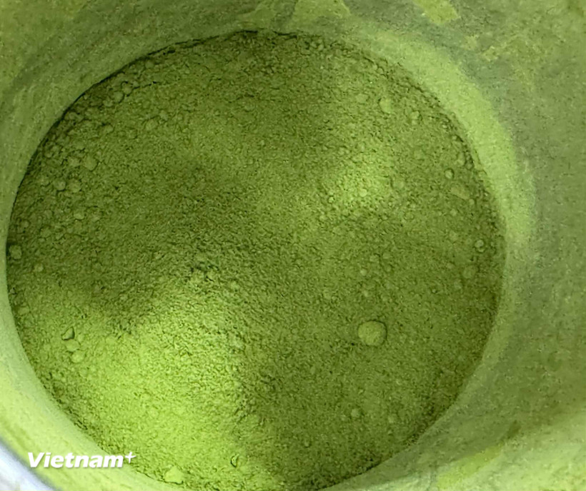Mặc dù cây matcha thuộc cùng họ với trà xanh, trà đen và ô long (cây Camellia sinensis), cách chế biến và hương vị của matcha lại rất riêng biệt. (Nguồn: Vietnam+)