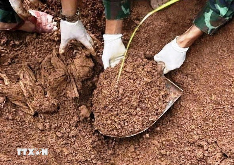 Các hài cốt được tìm thấy ở độ sâu 0,8-1m; được bọc trong tăng, kèm theo các di vật. (Nguồn: TTXVN phát)