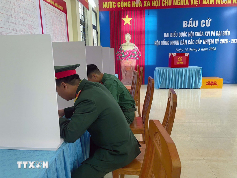 Quân và nhân dân trên đảo tiền tiêu Bạch Long Vĩ tham gia bầu cử sớm. (Ảnh: TTXVN phát)