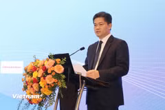 Thứ trưởng Thường trực Bộ Y tế Vũ Mạnh Hà phát biểu tại Hội nghị. (Ảnh: PV/Vietnam+)