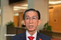 Đại biểu quốc hội Trần Hoàng Ngân. (Ảnh: Thùy Giang/Vietnam+)