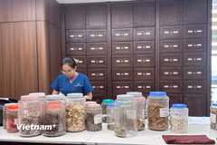 Mạng lưới y học cổ truyền của Việt Nam tương đối rộng từ Trung ương đến địa phương. (Ảnh: Thùy Giang/Vietnam+)