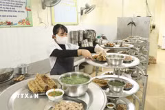 Các đoàn kiểm tra sẽ tập trung vào việc thực hiện các quy định pháp luật về bảo đảm an toàn thực phẩm tại cơ sở kinh doanh dịch vụ ăn uống, bếp ăn tập thể. (Ảnh minh họa: TTXVN/Vietnam+)