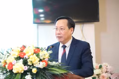 Thứ trưởng Bộ Y tế Lê Đức Luận. (Ảnh: PV/Vietnam+)