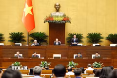 Phó Chủ tịch Quốc hội Nguyễn Hồng Diên phát biểu tại phiên họp. (Ảnh: Doãn Tấn/TTXVN)