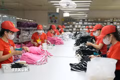 Công nhân lao động sản xuất tại một doanh nghiệp. (Ảnh: TTXVN)