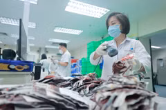 Lễ hội Xuân hồng đã tiếp nhận được gần 3.000 đơn vị máu. (Ảnh: Minh Quyết/TTXVN)