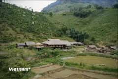 Nếp nhà sàn truyền thống giữa núi rừng. (Ảnh: Trịnh Huyền/Vietnam+)