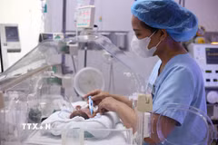 Chính sách dân số hướng đến mục tiêu mỗi trẻ em sinh ra đều được chăm sóc, giáo dục và phát triển toàn diện. (Ảnh: TTXVN)