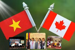 Quan hệ hợp tác về y tế giữa Việt Nam-Canada ngày càng đi vào chiều sâu 