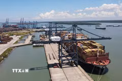 Thành phố Hồ Chí Minh phát triển hạ tầng, khơi thông cửa ngõ kinh tế biển. (Ảnh: TTXVN/Vietnam+)