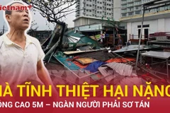 Hà Tĩnh thiệt hại nặng nề sau bão số 5