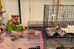 Công an thành phố Hà Nội thông tin vừa triệt phá, bắt giữ một ổ nhóm chuyên trộm cắp mèo với quy mô lớn. (Ảnh: CACC)