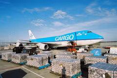 Thúc đẩy hợp tác cảng biển - hàng không bền vững Việt Nam-Hà Lan 