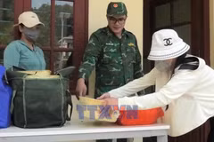 Biên phòng Lào Cai liên tiếp bắt 2 vụ đưa tôm hùm đất cấm vào Việt Nam