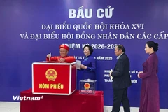 Cử tri 84 tuổi: “Mỗi lần đi bầu cử lại thấy đất nước đổi thay” 