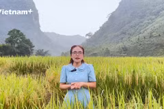Kỳ thi tốt nghiệp THPT 2026: 8 "bí kíp" vàng chinh phục môn Địa lý của chuyên gia