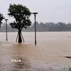 Lũ lên trên báo động 2 gây ngập đường đi bộ ven bờ Nam sông Hương, thành phố Huế. (Ảnh: Nguyên Lý/TTXVN)