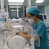 Điều dưỡng Khoa Hồi sức sơ sinh, Bệnh viện Nhi đồng 1 chăm sóc trẻ sơ sinh sinh non, bệnh lý không kể Lễ, Tết. (Ảnh: Đinh Hằng/TTXVN)